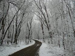 A Snowy Road